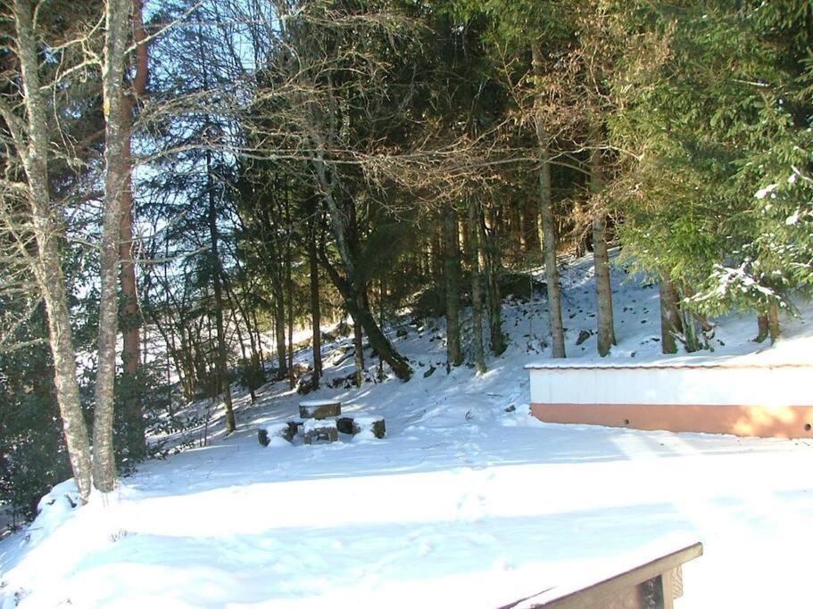 Maison D'Altitude Avec Vue Panoramique A Gerardmer Bagian luar foto